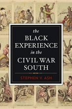 Cover art for The Black Experience in the Civil War South