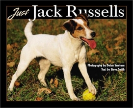 Cover art for Just Jack Russells (Just Pets)