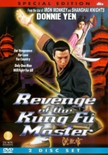 Cover art for Revenge of the Kung Fu Master
