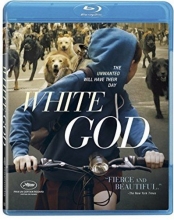 Cover art for White God [Blu-ray]