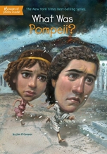 Cover art for What Was Pompeii?