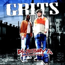 Cover art for Dichotomy a