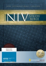 Cover art for Zondervan NIV Study Bible
