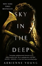 Cover art for Sky in the Deep