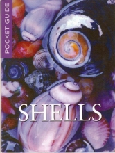 Cover art for Shells: Pocket Guide