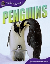 Cover art for Animal Lives: Penguins