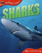 Cover art for Animal Lives: Sharks
