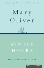 Cover art for Winter Hours