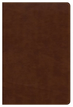 Cover art for CSB Large Print Ultrathin Reference Bible, British Tan LeatherTouch, Black Letter Edition