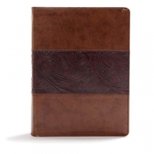 Cover art for CSB Study Bible, Mahogany LeatherTouch