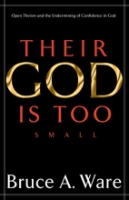 Cover art for Their God Is Too Small: Open Theism and the Undermining of Confidence in God
