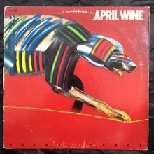 Cover art for Animal Grace