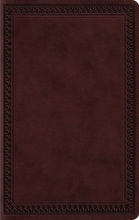 Cover art for Holy Bible: English Standard Version, TruTone, Mahogany, Border