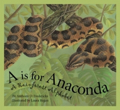 Cover art for A is For Anaconda: A Rainforest Alphabet (Science Alphabet)
