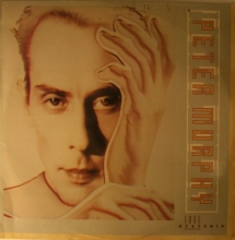 Cover art for Love Hysteria [Vinyl]