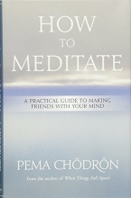 Cover art for How to Meditate: A Practical Guide to Making Friends with Your Mind