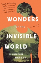 Cover art for Wonders of the Invisible World