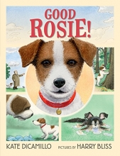 Cover art for Good Rosie!