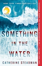 Cover art for Something in the Water: A Novel