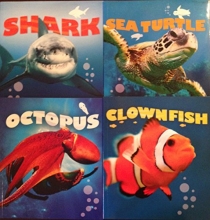 Cover art for QEB Publishing Sea Creatures 4 Books Box Set (Clownfish, Sea Turtle, Shark, Octopus) [Tin Set Includes 6 Toy Fish]