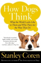 Cover art for How Dogs Think: What the World Looks Like to Them and Why They Act the Way They Do