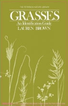 Cover art for Grasses: An Identification Guide (Peterson Nature Series), 1st Edition