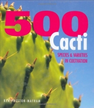 Cover art for 500 Cacti: Species and Varieties in Cultivation
