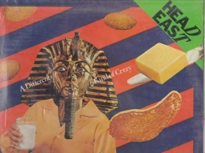 Cover art for A Different Kind of Crazy