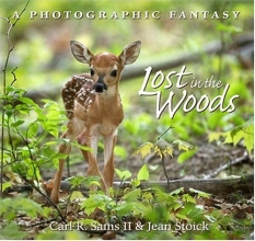 Cover art for Lost In The Woods: A Photographic Fantasy