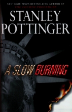 Cover art for A Slow Burning