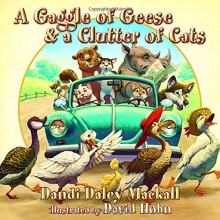 Cover art for A Gaggle of Geese and a Clutter of Cats (Dandilion Rhymes)