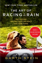 Cover art for The Art of Racing in the Rain Tie-in: A Novel