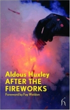 Cover art for After the Fireworks (Hesperus Modern Voices)