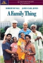 Cover art for A Family Thing