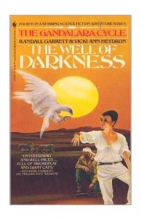 Cover art for The Well of Darkness (The Gandalara Cycle #4)