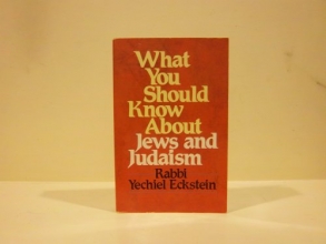 Cover art for What You Should Know About Jews and Judaism