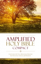 Cover art for Amplified Holy Bible, Compact, Hardcover: Captures the Full Meaning Behind the Original Greek and Hebrew