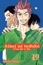 Cover art for Kimi ni Todoke: From Me to You, Vol. 19 (19)