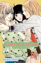 Cover art for Kimi ni Todoke: From Me to You, Vol. 18 (18)