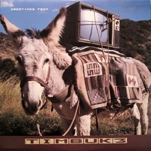 Cover art for Greetings From Timbuk 3
