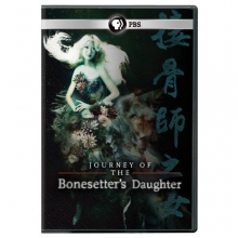 Cover art for Journey of The Bonesetter's Daughter