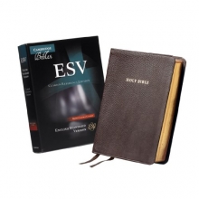 Cover art for ESV Clarion Reference Bible, Brown Calfskin Leather, ES485:X
