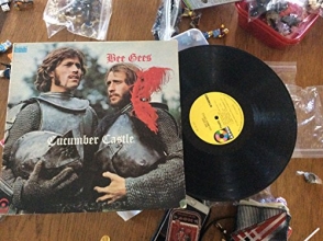 Cover art for Cucumber Castle