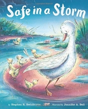 Cover art for Safe in a Storm