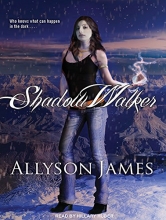 Cover art for Shadow Walker (Stormwalker)