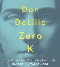 Cover art for Zero K