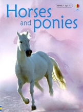 Cover art for Horses And Ponies (Usbourne Beginners, Level 1)