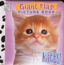 Cover art for Kitty