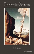 Cover art for Theology for Beginners