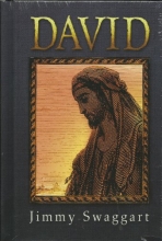 Cover art for David